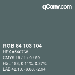 Farbcode: RGB 84 103 104 | qconv.com