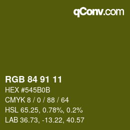 Farbcode: RGB 84 91 11 | qconv.com