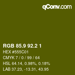 カラーコード: RGB 85.9 92.2 1 | qconv.com