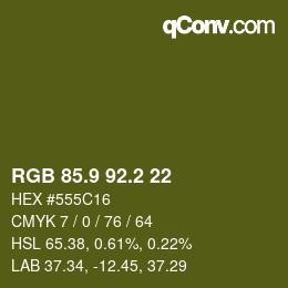 カラーコード: RGB 85.9 92.2 22 | qconv.com