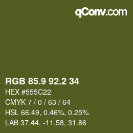 Color code: RGB 85.9 92.2 34 | qconv.com