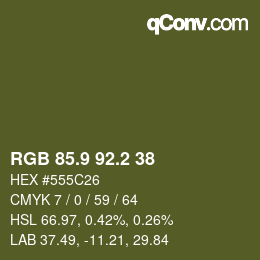 Color code: RGB 85.9 92.2 38 | qconv.com