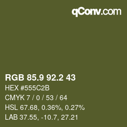 Color code: RGB 85.9 92.2 43 | qconv.com