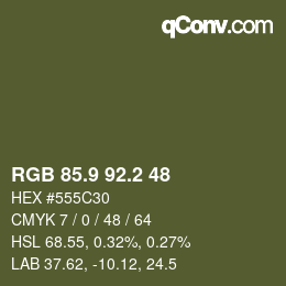 Color code: RGB 85.9 92.2 48 | qconv.com