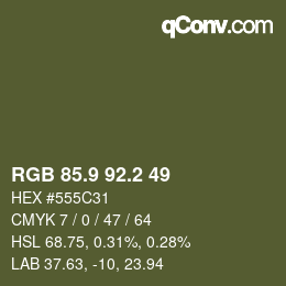 Color code: RGB 85.9 92.2 49 | qconv.com