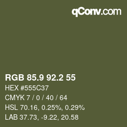 カラーコード: RGB 85.9 92.2 55 | qconv.com