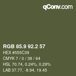 Color code: RGB 85.9 92.2 57 | qconv.com