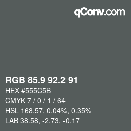 Color code: RGB 85.9 92.2 91 | qconv.com