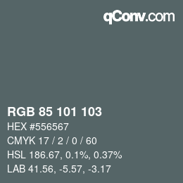 Color code: RGB 85 101 103 | qconv.com