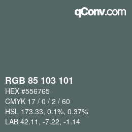 Color code: RGB 85 103 101 | qconv.com