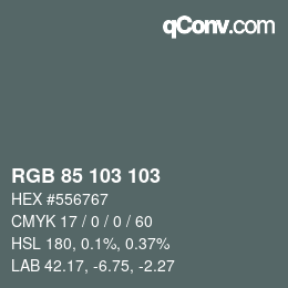 カラーコード: RGB 85 103 103 | qconv.com