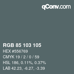 カラーコード: RGB 85 103 105 | qconv.com