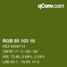 Color code: RGB 85 103 19 | qconv.com