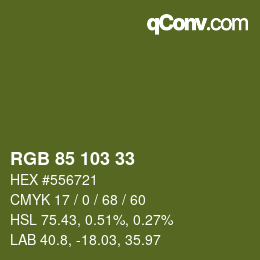 Color code: RGB 85 103 33 | qconv.com