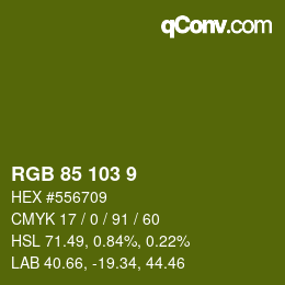 Color code: RGB 85 103 9 | qconv.com