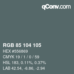 Code couleur: RGB 85 104 105 | qconv.com