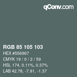 Color code: RGB 85 105 103 | qconv.com