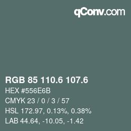 カラーコード: RGB 85 110.6 107.6 | qconv.com