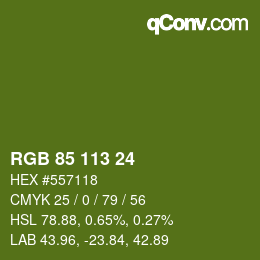 Color code: RGB 85 113 24 | qconv.com