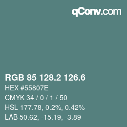 カラーコード: RGB 85 128.2 126.6 | qconv.com