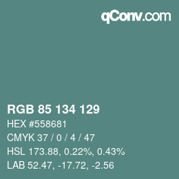 Color code: RGB 85 134 129 | qconv.com