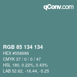 Color code: RGB 85 134 134 | qconv.com
