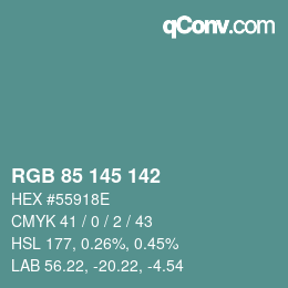 Color code: RGB 85 145 142 | qconv.com