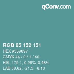 Color code: RGB 85 152 151 | qconv.com