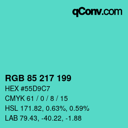 Color code: RGB 85 217 199 | qconv.com