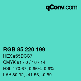 Color code: RGB 85 220 199 | qconv.com