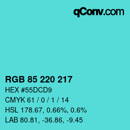 Color code: RGB 85 220 217 | qconv.com