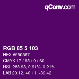 Color code: RGB 85 5 103 | qconv.com