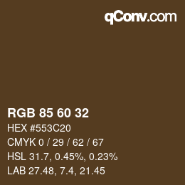 颜色代码: RGB 85 60 32 | qconv.com
