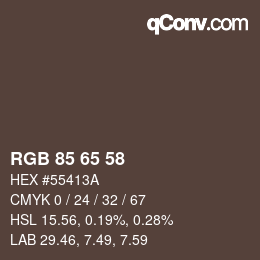 Código de color: RGB 85 65 58 | qconv.com