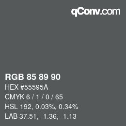 カラーコード: RGB 85 89 90 | qconv.com