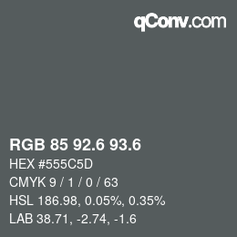 カラーコード: RGB 85 92.6 93.6 | qconv.com