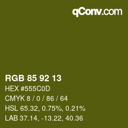 カラーコード: RGB 85 92 13 | qconv.com