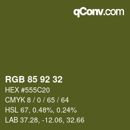 颜色代码: RGB 85 92 32 | qconv.com