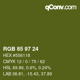 Color code: RGB 85 97 24 | qconv.com