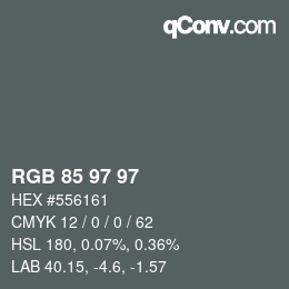 Color code: RGB 85 97 97 | qconv.com