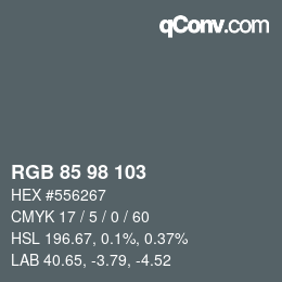 カラーコード: RGB 85 98 103 | qconv.com