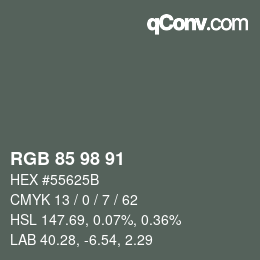 颜色代码: RGB 85 98 91 | qconv.com
