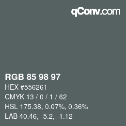 カラーコード: RGB 85 98 97 | qconv.com
