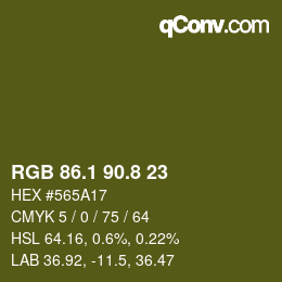Color code: RGB 86.1 90.8 23 | qconv.com
