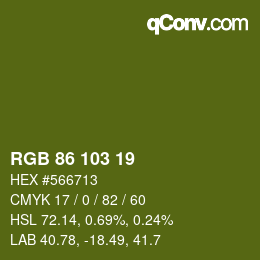 Color code: RGB 86 103 19 | qconv.com