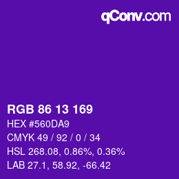 Color code: RGB 86 13 169 | qconv.com