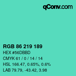 Color code: RGB 86 219 189 | qconv.com