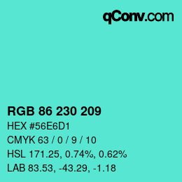 Color code: RGB 86 230 209 | qconv.com