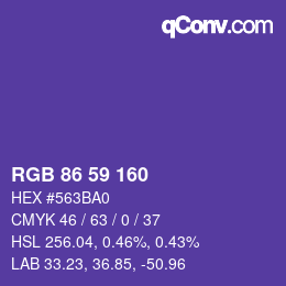 颜色代码: RGB 86 59 160 | qconv.com