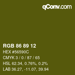 颜色代码: RGB 86 89 12 | qconv.com